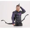Marvel Disney+ Hawkeye 1/6 Scale Resin Mini-Bust