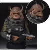 Star Wars Rogue One Bistan Mini-Bust