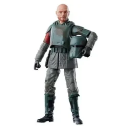 Star Wars: The Mandalorian - The Black Series 6-Inch Action Figure - Select Figure(s)