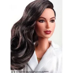 Wonder Woman 1984 Doll Giftset